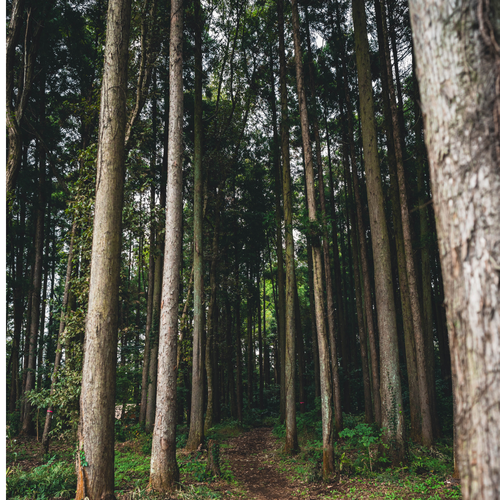 Environmental management