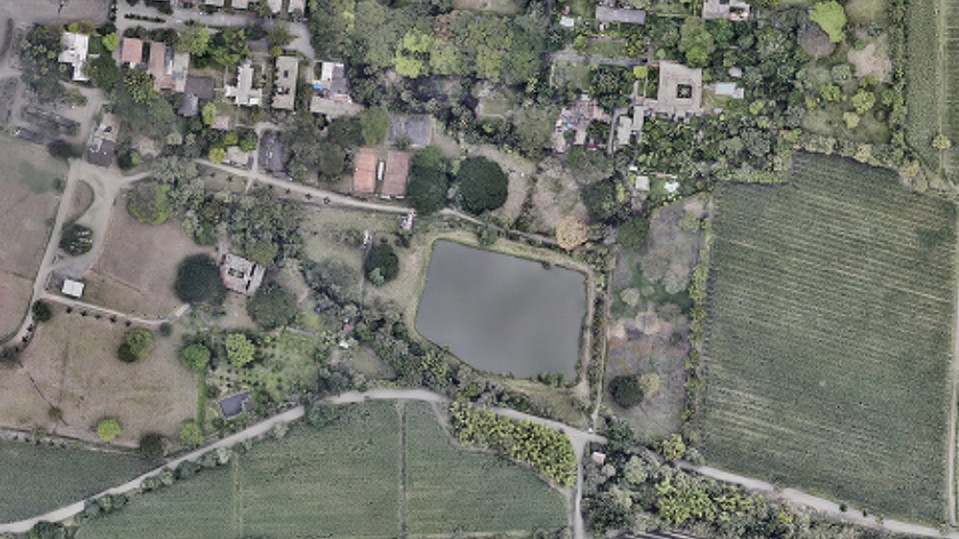 Legal Option, Ovejas, Sucre